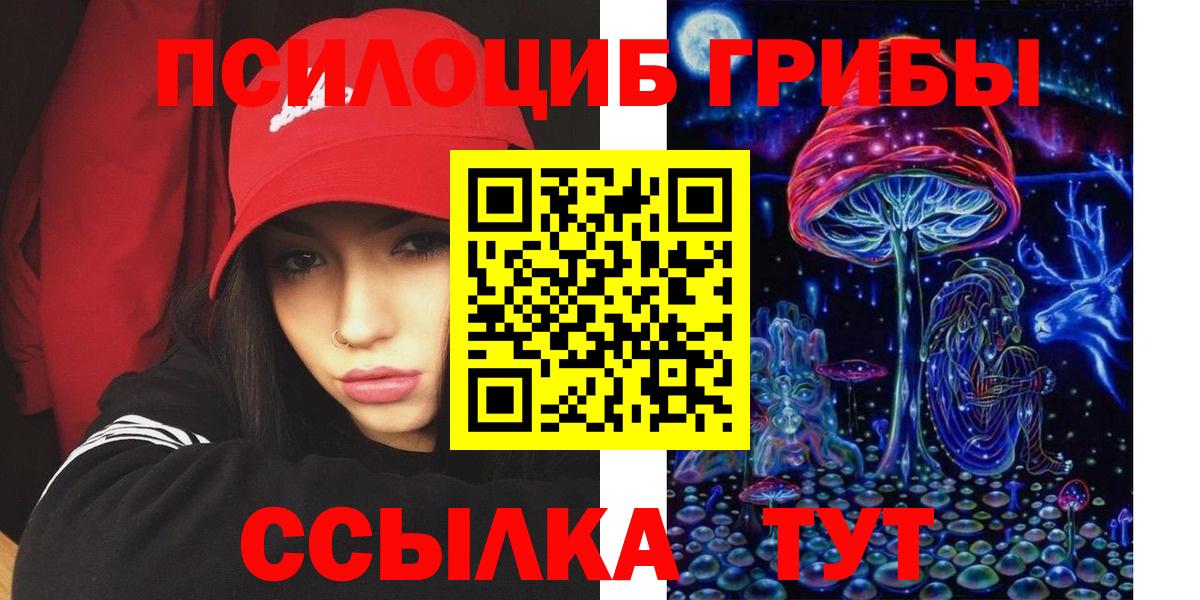 Петропавловск-Камчатский  сколько стоит  Вход с VPN  Псилоцибиновые грибы Cubensis 