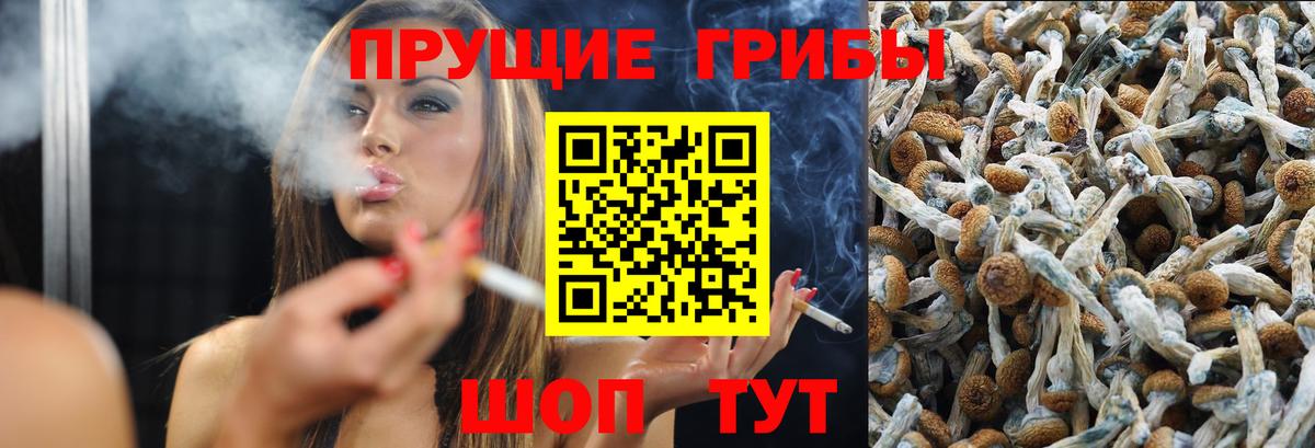 Галлюциногенные грибы ЛСД Петропавловск-Камчатский